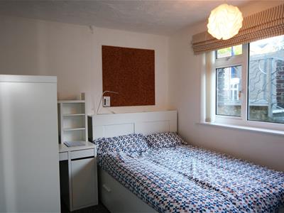 Picture 19